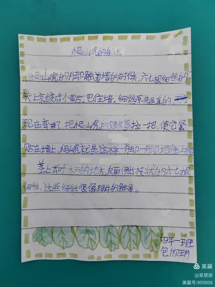 练笔《爬山虎的自述》